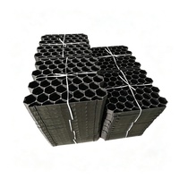 Grille de gazon emboîtable à haute résistance à la compression, pavé perméable pour allée résidentielle