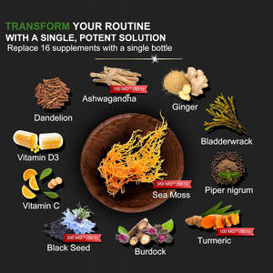 Irish <b>Sea</b> <b>Moss</b> <b>Capsules</b> with Burdock Root and Bladderwrack <b>Capsules</b> for Thyroid Immune Support Muscle and Joint comfort - Product Image 5