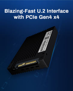 MemoryGhost OE200 2.5 PCIe4.0x4 U.2 SSD 3D ETLC Interno ad Alte Prestazioni 7400MB/s Lettura 6400MB/s per Laptop Desktop Server - Product Image 6