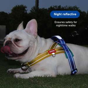 Yeni varış no-choke eyer tarzı göğüs kemeri köpekler için üç renkli köpek tasma ve yastıklı koşum ayarlanabilir köpek göğüs kemeri - Product Image 4