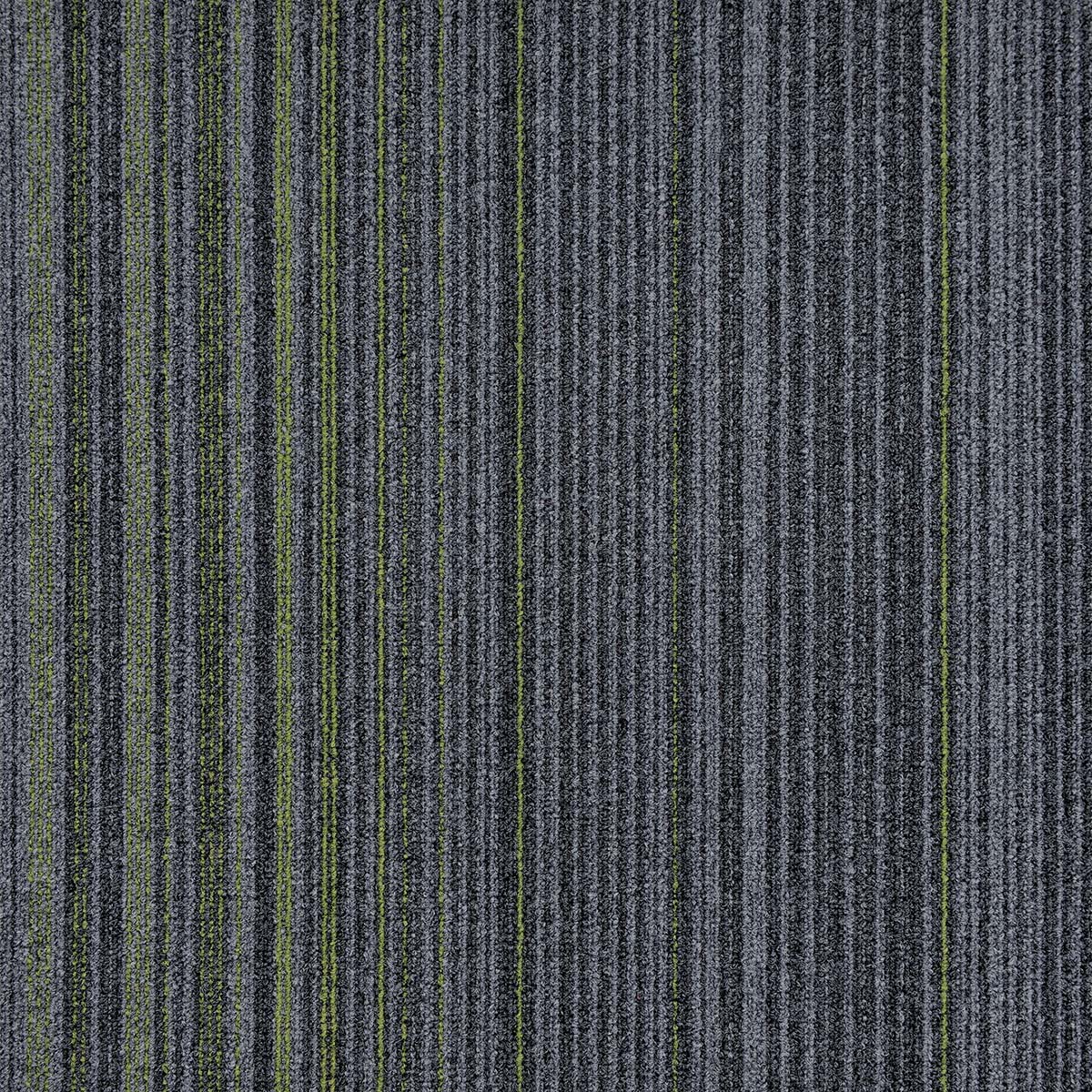 Grey12