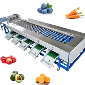 LONKIA Máquina clasificadora automática de verduras y frutas Cebolla Máquina clasificadora de tamaño de patata y zanahoria