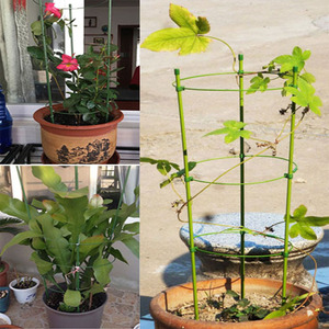 Haute qualité <span class=keywords><strong>pas</strong></span> <span class=keywords><strong>cher</strong></span> métal jardin piquets <span class=keywords><strong>plante</strong></span> piquet <span class=keywords><strong>Support</strong></span> anneau treillis <span class=keywords><strong>plante</strong></span> escalade <span class=keywords><strong>support</strong></span> - Product Image 4
