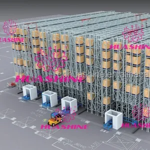 Straight line shuttle system RGV/AGV of SMART FACTORY for COLD CHAIN food industry HUASHINE intelligent