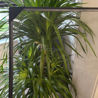 Moustiquaire de fenêtre en fibre de verre transparente et flexible sur mesure avec élastique