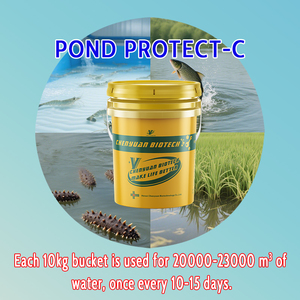 CY Pond Protect-C: Mejora la inmunidad y apoya la digestión de los animales acuáticos - Product Image 4