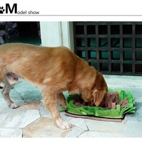 Pet Snuffle Mat Dog Smell Training Mat Stress Release Nosework Blanket