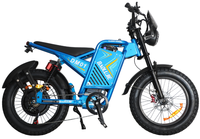 Vélo Électrique à Cadre Bas B2B pour Neige, Sable et Tout-Terrain
