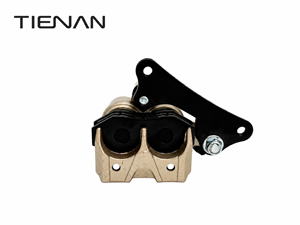 Étrier <span class=keywords><strong>de</strong></span> <span class=keywords><strong>frein</strong></span> <span class=keywords><strong>de</strong></span> moto, style <span class=keywords><strong>NISSIN</strong></span>, doré, hydraulique avant, 2 pistons, étrier <span class=keywords><strong>de</strong></span> <span class=keywords><strong>frein</strong></span> à disque pour Honda Yamaha Suzuki Kawasaki - Product Image 3