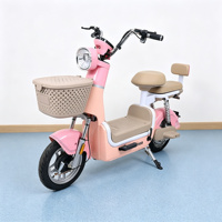 Vélo électrique à faible vitesse, 14 pouces, vente en gros d'usine OEM ODM, vélo électrique personnel, vélo électrique chinois