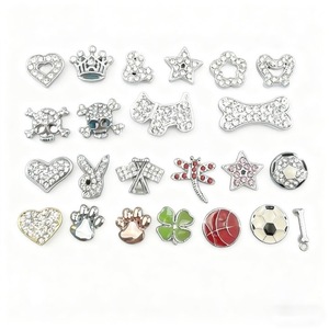 Accessori Fai-da-Te in Lega di Zinco Argento con Strass, Lettere Scorrevoli A-Z da 10mm per Collari di <span class=keywords><strong>Cani</strong></span>, Collane e Braccialetti Moderni - Product Image 5