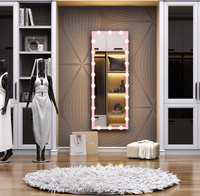 Dropshipping USA Miroir corporel rose 63*24 pouces avec lumières, miroir pleine longueur avec lumières