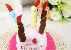 Festival Haustier Produkt zubehör mit Geburtstags torte Form Katze Hund Geburtstag Hut