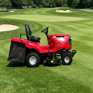 <span class=keywords><strong>Tondeuse</strong></span> autoportée à essence avec bac de ramassage pour l'entretien des pelouses - Product Image 1