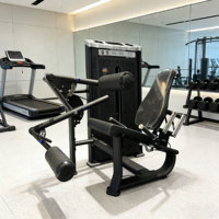 Presse à jambes réglable en acier et extension assise 2-en-1 – Équipement de fitness commercial pour musculation et entraînement de force