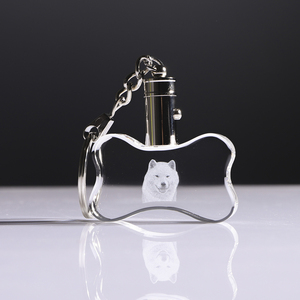 Petit pont, vente en gros, personnalisation, porte-clés en cristal LED en forme d'os 3D, pour cadeaux souvenirs - Product Image 1