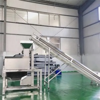 Verschillende Modellen Fruit En Groente Juicer/Sap Extracting Machine/Schroef Pers Persen Sap Extractor Machine Met Crusher