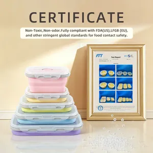 Ensemble de 4 boîtes à lunch pliables en silicone platine, portables et compatibles micro-ondes, pour l'école, le bureau, le camping et le stockage des aliments - Product Image 4