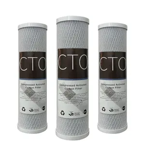 Campione gratuito 10 ''CTO Carbon Block Filter Coconut per filtro dell'acqua