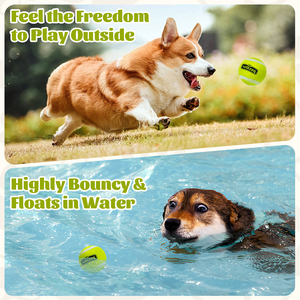 Nobleza 6 palline da Tennis in gomma naturale con palline da cane interattive in confezione, giocattoli da gioco per cani - Product Image 4