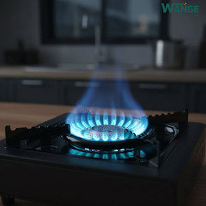 Mini barbecue portable en gros pour le <span class=keywords><strong>camping</strong></span>, fabricant de réchaud à gaz, <span class=keywords><strong>propane</strong></span>, butane, Gaskocher, petit réchaud à gaz portable d'extérieur - Product Image 3