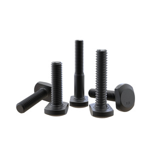 Baifite T-Bolt M12-M24 Acier au carbone Oxyde noir Qualité industrielle Fixation - Product Image 5