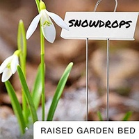 Piquet de semis résistant aux intempéries, étiquettes de plantes de jardin en métal blanc, marqueurs de signes