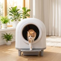 Bac à litière intelligent pour chat, nettoyage automatique, grande capacité, toilette pour chat facile à nettoyer, utilisation en intérieur