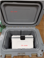 Mini glacière rigide blanche Tsunami Factory 12L pour le stockage médical et les petits objets