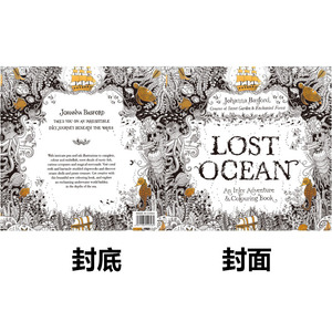 Livre de coloriage anglais <span class=keywords><strong>Secret</strong></span> Garden Adult Stress Reduction Hand colouring book Student colouring book Graffiti - Product Image 5