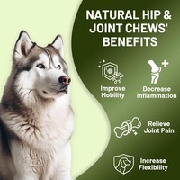 Faible MOQ – Améliore la mobilité et la santé des articulations avec de la glucosamine pour chiens – Compléments et vitamines pour animaux de compagnie – Échantillon gratuit