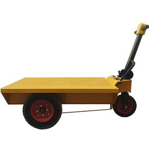 Bicicleta Eléctrica de Carga con Plataforma, Ruedas de 20 Pulgadas, Motor Trasero de 48V 500W, Batería de Litio, Cuadro de Acero Aleado para Obras de Construcción - Product Image 1