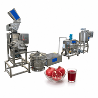 Turnkey fruit sap productielijn industrieel geconcentreerd sapverwerkingsysteem met UHT sterilisatie