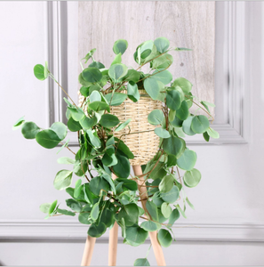 Flores artificiales de seda de <span class=keywords><strong>eucalipto</strong></span> Garland de seda flores follaje hojas de <span class=keywords><strong>eucalipto</strong></span> Garland en verde 8 largo - Product Image 2