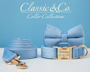 Collier et laisse pour chien personnalisés avec nom gravé, boucle en métal bleu ciel, clochette et nœud, livraison gratuite - Product Image 3