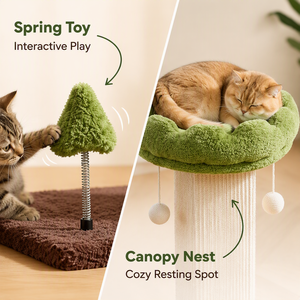 <span class=keywords><strong>Tiragraffi</strong></span> per Gatti a Forma di <span class=keywords><strong>Albero</strong></span> con Cuccia a Baldacchino, Palo in Sisal, Giocattolo a Molla, Base in Peluche e Tavola in Legno per Gatti da Interno - Product Image 5