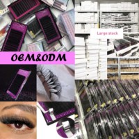 Perlengkapan Ekstensi Bulu Mata Sintetis Grosir, Bulu Mata Panjang Alami, Label Pribadi, Tray Bulu Mata Volume Klasik Matte Hitam