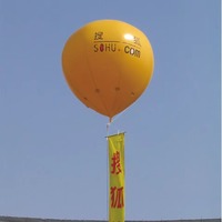Ballon gonflable géant personnalisé pour la publicité extérieure, imprimé avec logo, garantie 1 an