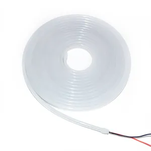 Lampu Neon Led Tali Lampu 24V untuk Kolam Renang Lampu Strip Alamat Led Kubah Neon Flex