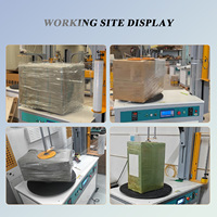 Solution d'emballage flexible à haut niveau d'automatisation, certifiée ISO, écoénergétique, pour l'emballage de boîtes en carton en usine