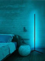Prix usine Moderne Smart RGB Dimmable Lampadaire Minimaliste Led Smart Standing Lampadaire d'angle avec télécommande APP