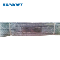 ROPENET yüksek performanslı Polyester dokuma Sling ağır kaldırma CE belgelendirme kaldırma için 4T 4M S:F = 7:1
