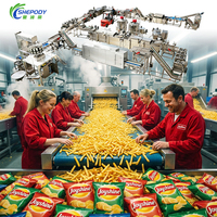 Ligne de production automatique de frites et de chips Shepody personnalisée 1000 kg/h, machine à faire des frites en acier inoxydable 304