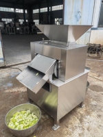 Automatische RVS industriële sinaasappelsapcentrifuge citrus citroen ananas sapcentrifuge