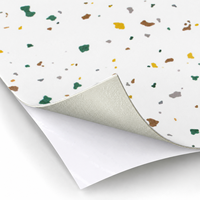 Suelo Autoadhesivo de PVC con Textura de Mármol, Impermeable, para Proyectos de Renovación de Tiendas Minoristas, WYRAX