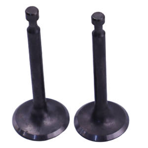 Vanne de motoculteur mini 168F à succès – Pièces d'origine pour générateur à essence et pompe à eau : soupapes d'admission et d'échappement et tappets - Product Image 4