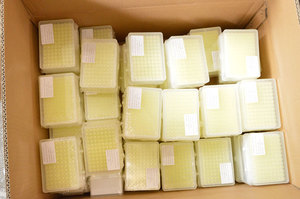 MY-L009D Phòng Thí Nghiệm Cung Cấp Dùng Một Lần 10ul 20ul <span class=keywords><strong>200ul</strong></span> 1000ul Vô Trùng <span class=keywords><strong>Pipette</strong></span> Mẹo Với Bộ Lọc - Product Image 6