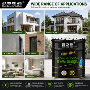 Pintura para Paredes Negra BANG KE WEI, Acabado Negro Premium, Textura de Alta Calidad, Fuerte Adhesión para Paredes - Product Image 5