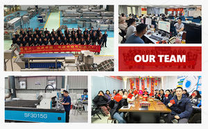 Línea de Producción de Papas Fritas a Gran Escala, Fabricada en China, Máquina para Hacer Papas Fritas, Empaquetado de Alimentos, con Logotipo Personalizado - Product Image 6