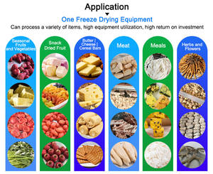 Liofilizador de alimentos al vacío, precio liofilizador, liofilizador, liofilizador al vacío - Product Image 3